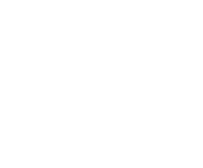 Evolution games at Wild Tokyo Casino